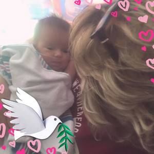 Meet your Posher, Ginger